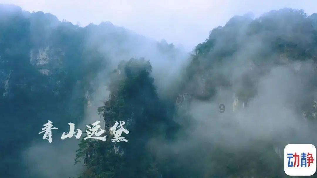 不久前的杭州残亚会上,一幕场景让无数网友泪目。 盲人运动